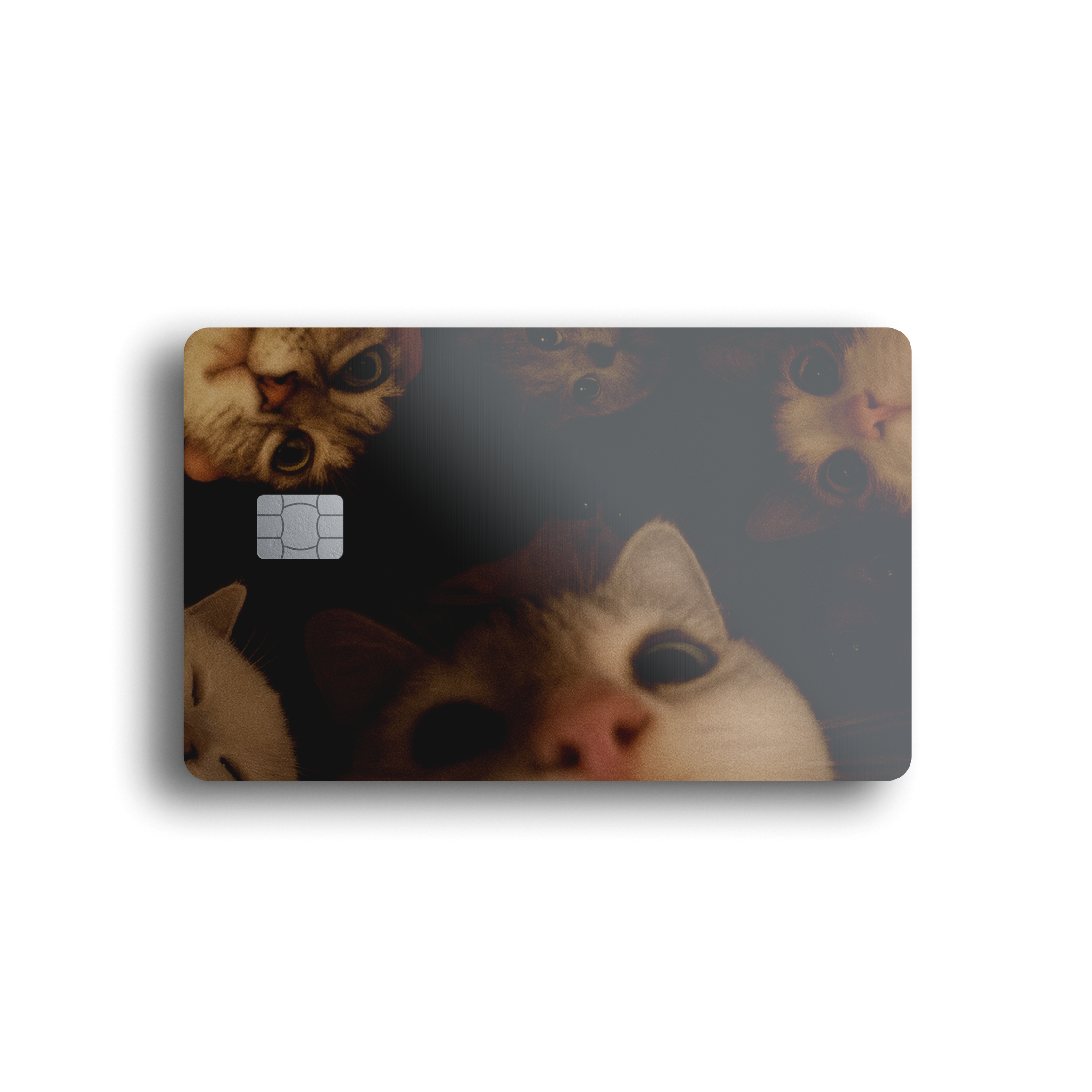 Cat Meeting Card Skin